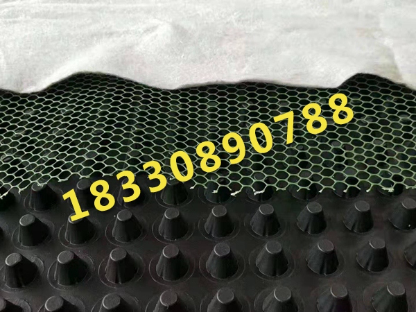 塑料网格