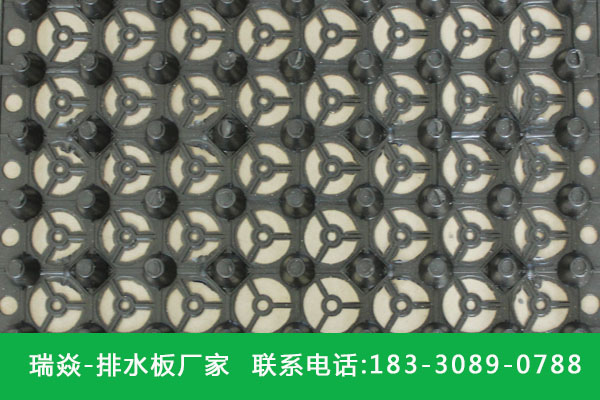 瑞焱︱蓄排水板︱厂家直销