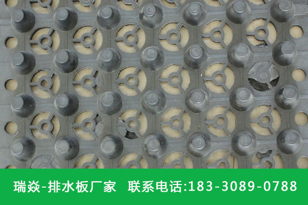 瑞焱︱蓄排水板︱质优价廉